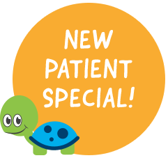 New Patient Special!