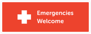 Emergencies Welcome icon