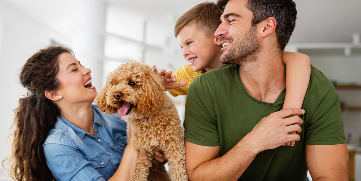 hero-home Mixed family laughing on a couch together